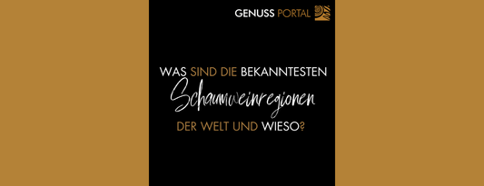 Was sind die bekanntesten Schaumweinregionen der Welt? Woher kommt der meiste Schaumwein, und was macht die besten Regionen aus?